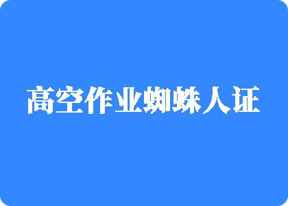 www成人色情美女网站麻豆高空作业蜘蛛人证